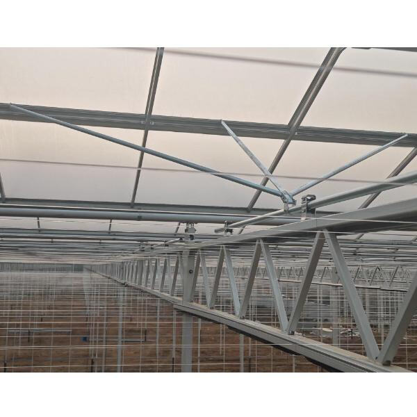 انزرع فواكه وخضرواتك الخاصة باستخدام هذا البيت الزجاجي الواسع الذي يمكنك الدخول فيه