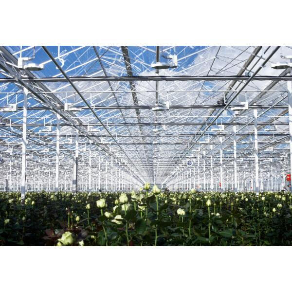 Find the perfect metal greenhouse frame for your gardening needs
