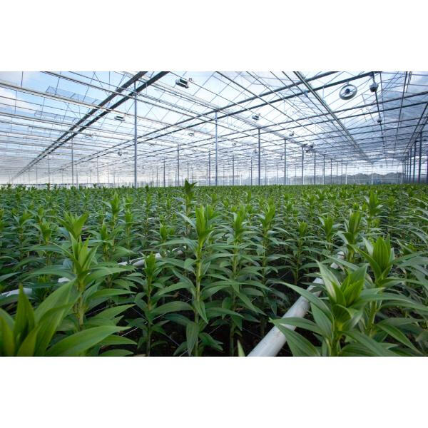 Small Metal Frame Greenhouse