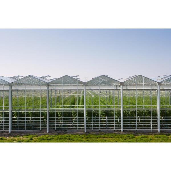 Easy Solution for Attaching Panels in Your Greenhouse