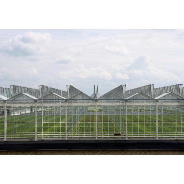 Recite doviđenja rostilju uz pomoć nerđavih klipova