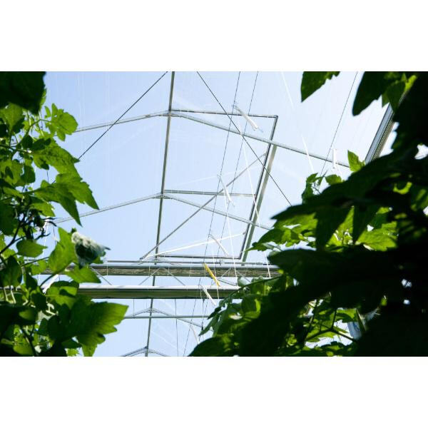 Sterk en betroubaar staalbooghuisraamte vir al jou tuinbehoeftes