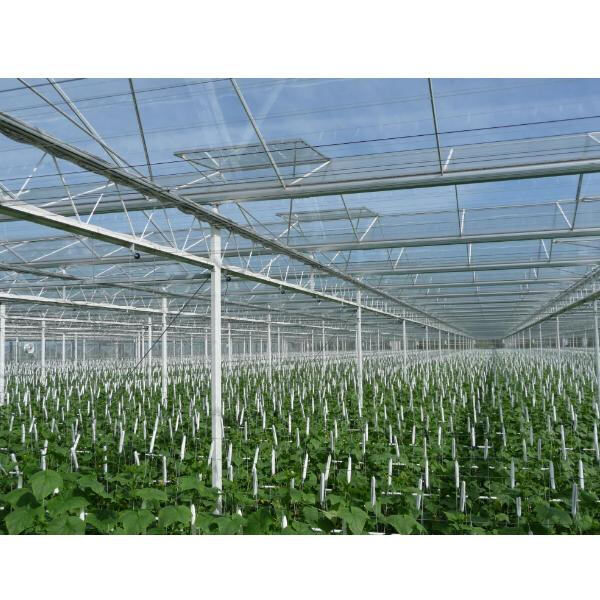 L'art i la ciència de les empreses de construcció d'escenaris