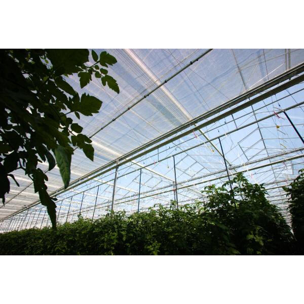 Stilfulla och mångsidiga designalternativ med Aluminiumliggfönster