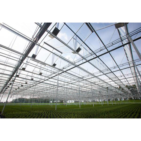 Optimalisering van Groeipotensiaal met Kas-Harde