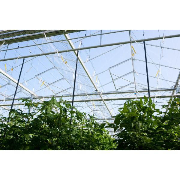 Utilizing a Steel Frame Shade House for Year-Round Gardening Success