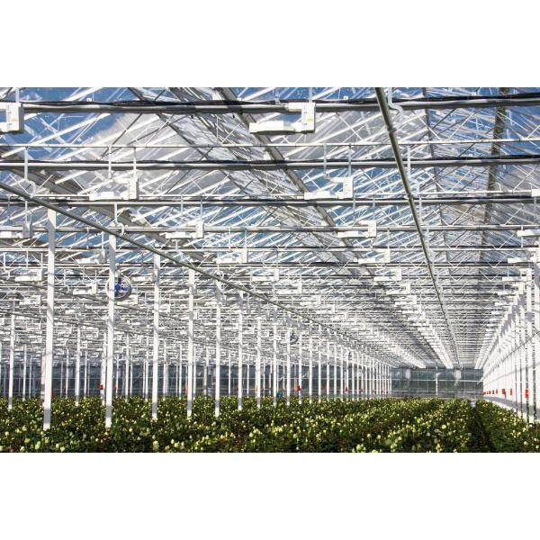 Find the perfect metal frame greenhouse for your needs in our sale collection.
