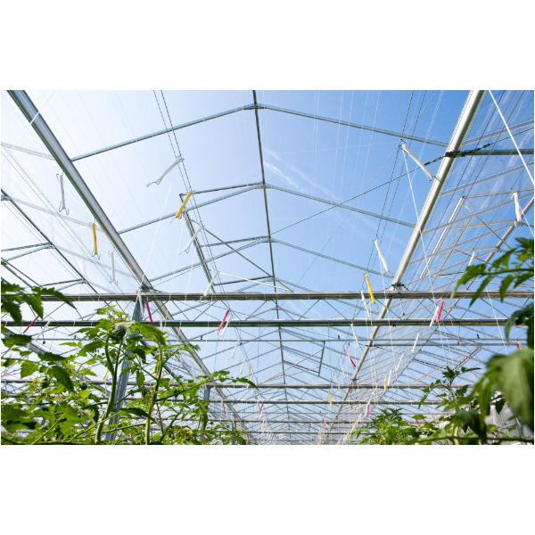 A Sustainable and Durable Solution