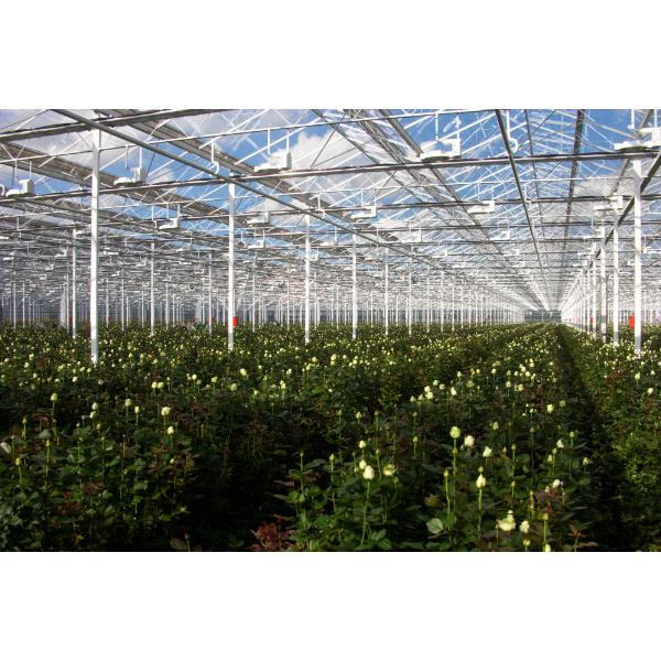 The Superior Corrosion Resistance of Galvanized Pipe for Greenhouse Structures