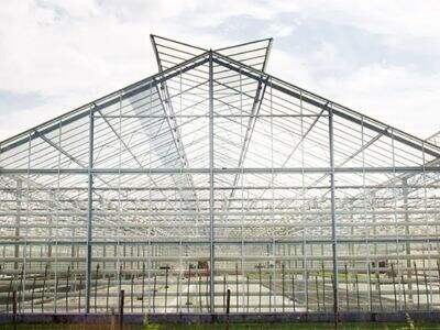 Use the reversing wheel to enhance the greenhouse screen function