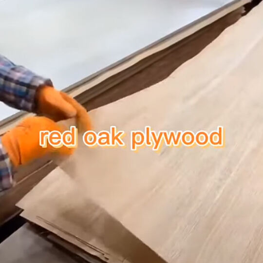 Kommersiell plywood-röd ek plywood produktionsprocess