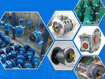 Курулайдын өмрүн кеңейтүү үчүн сактоо таалары