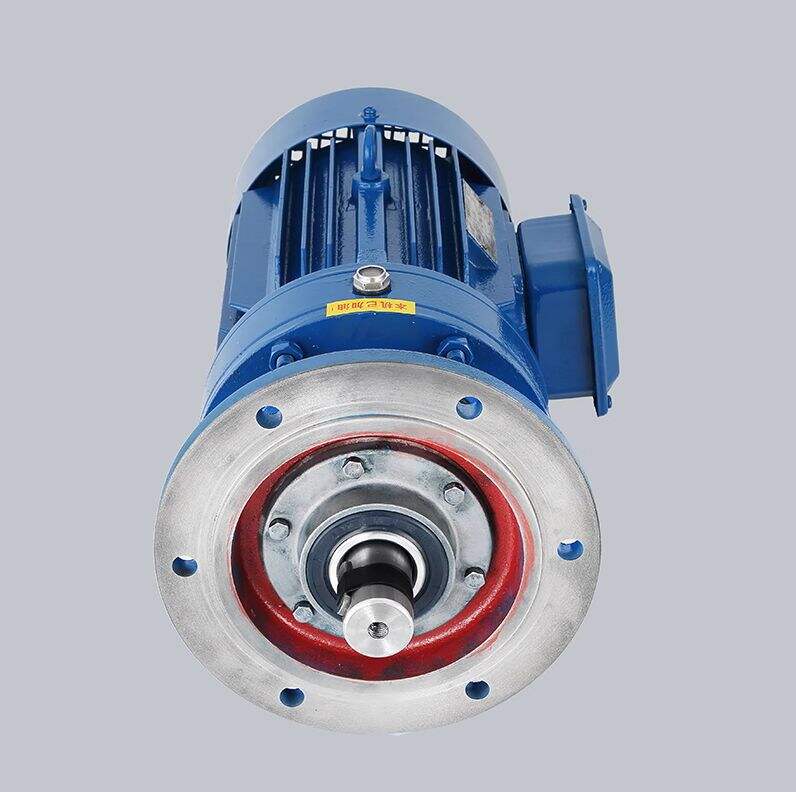 BWD/XWD Коаксиалдык Боксуу Аягында Тилкинчө Тилкинчө Мотор 0.75kw 1.5kw 2.2kw 3kw 4kw 5.5kw 7.5 kw