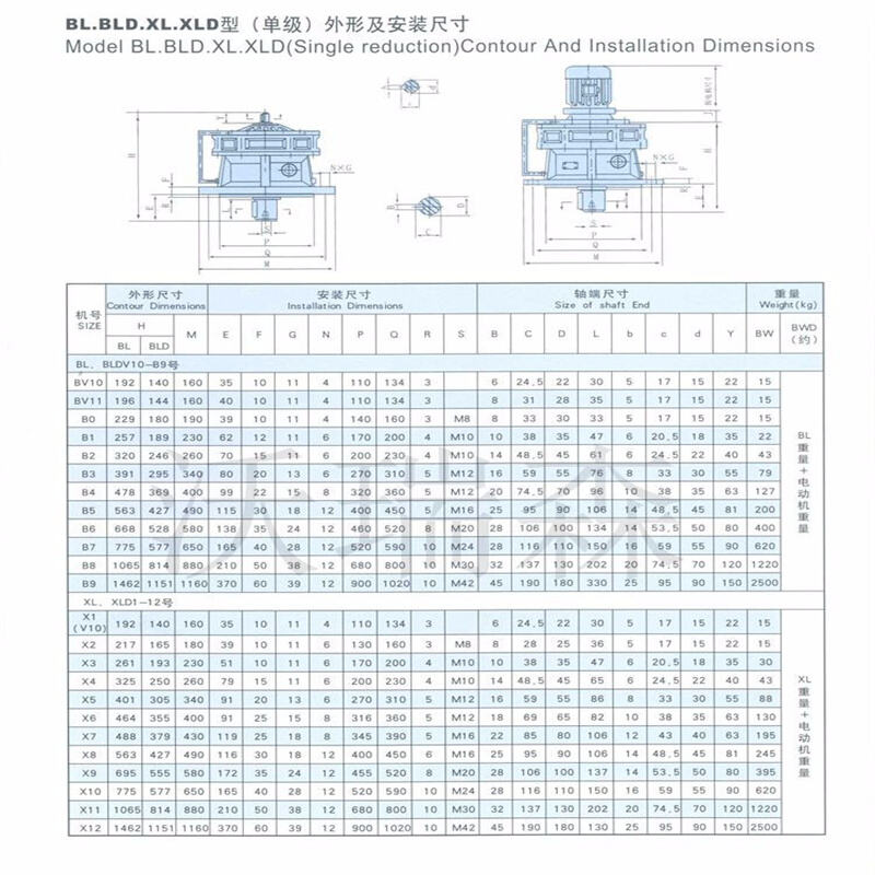 详情11