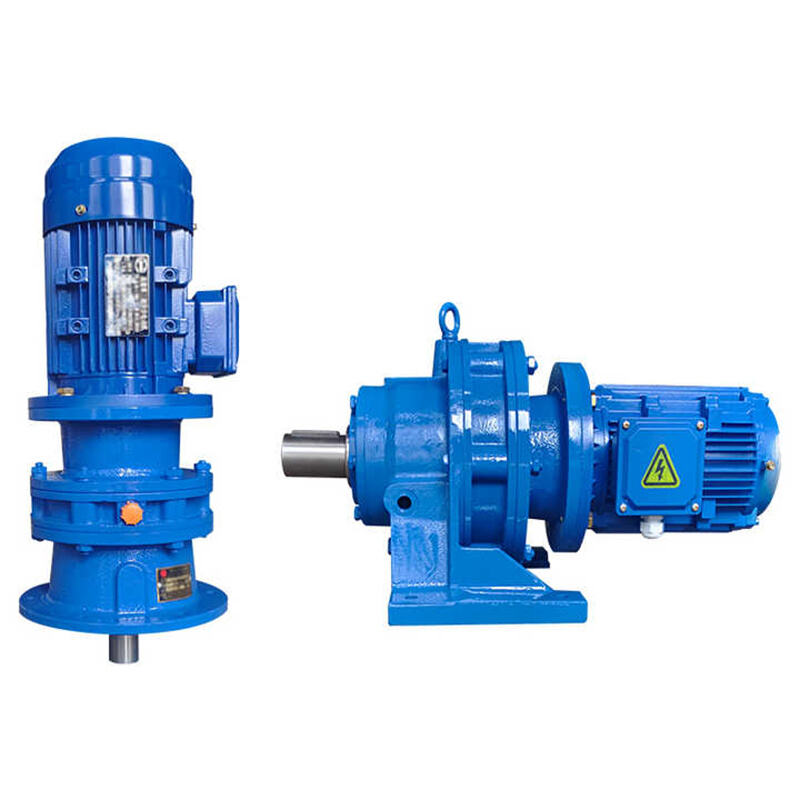 XW BW Series Solid Shaft Foot-Mounted Cycloidal Gear Reducer Speed Reduction Gearbox With 380V Motor