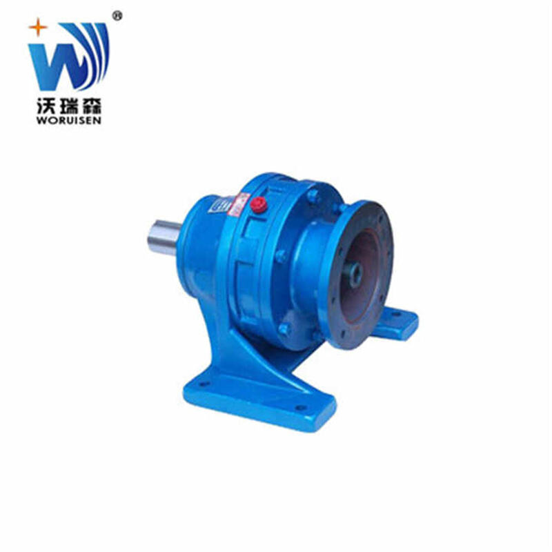 High quality planetary cycloidal pin-wheel reducer machine BWD1 Small pure copper vertical reducer