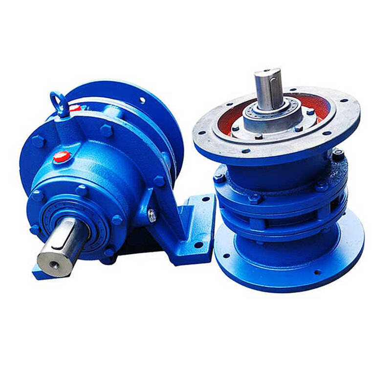 XW2-11 Cyclo Gear Motor Reducer Cycloidal Gear Reductor