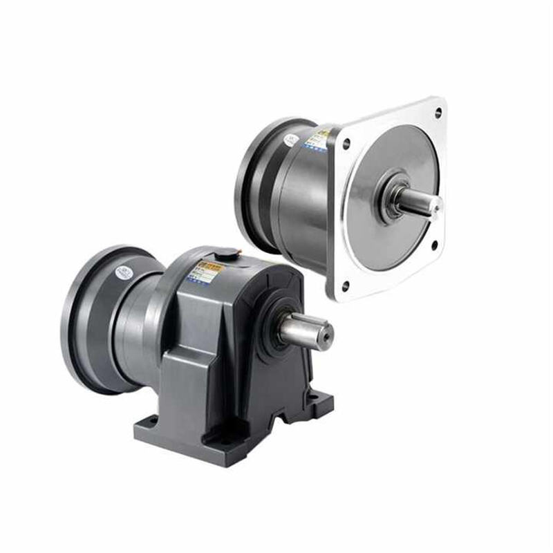 Low Rpm CH 0.2KW Factory Produce High Speed Mini Ac Worm Gear Mini Motor 220v