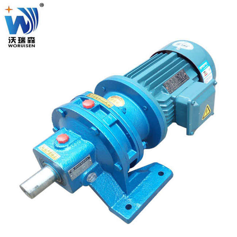Super multi discount cycloidal pin gear reducer BWDXWDBLDXLD split horizontal vertical 1500rpm