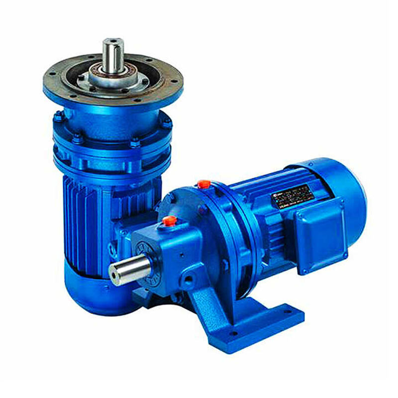 Industrial Speed Reduction Bw Bwd Bl Bld Bwe Cycloid Gear Drive Pin Wheel Double Gear Reducer for Wet Pan Mill