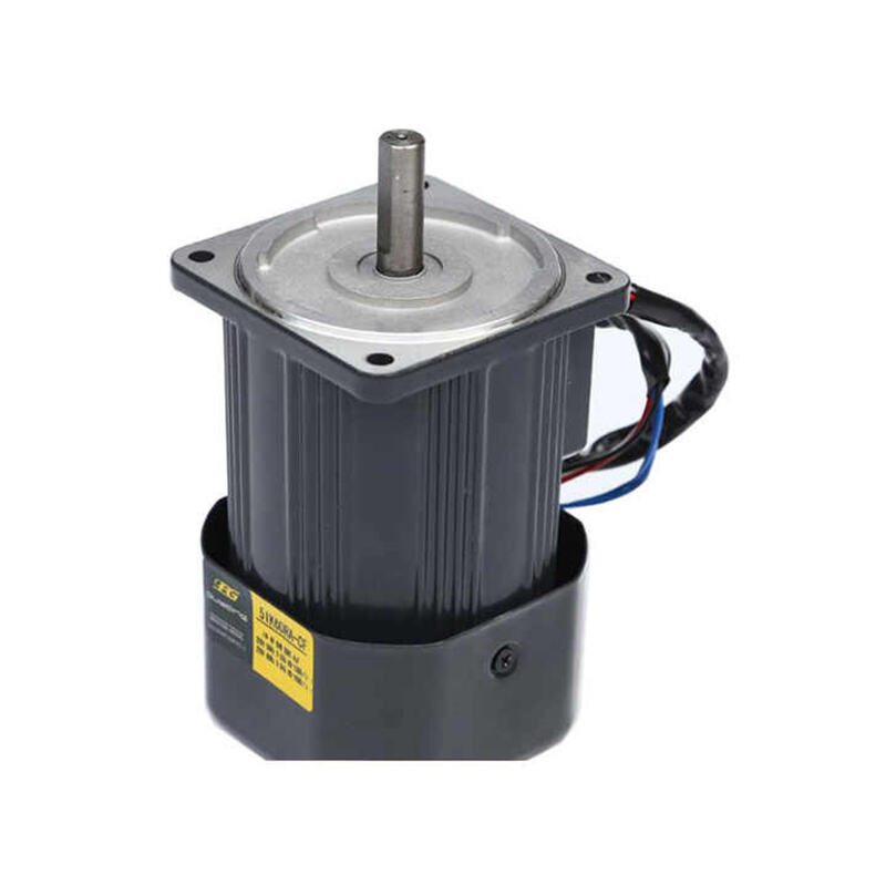 Small gear reduction motor 6W 110V 220V 50Hz 60Hz variable speed motor