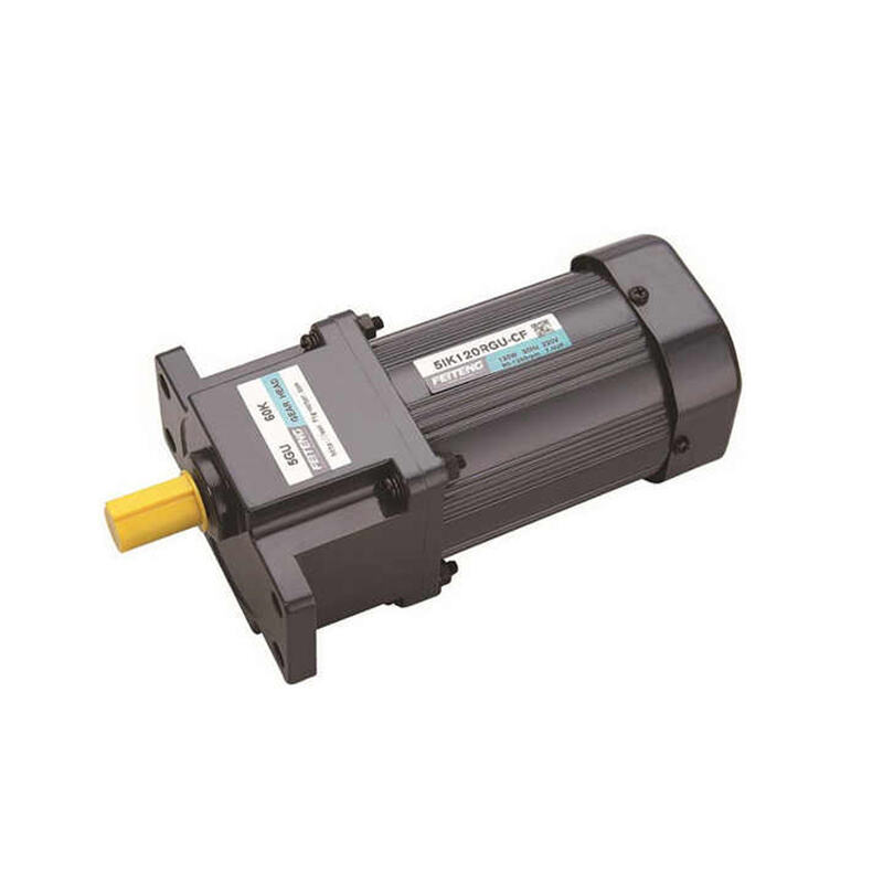 Small gear reduction motor 6W 110V 220V 50Hz 60Hz variable speed motor