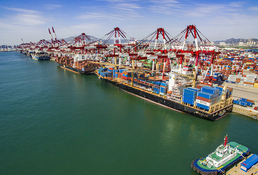 International shipping cargo transport case