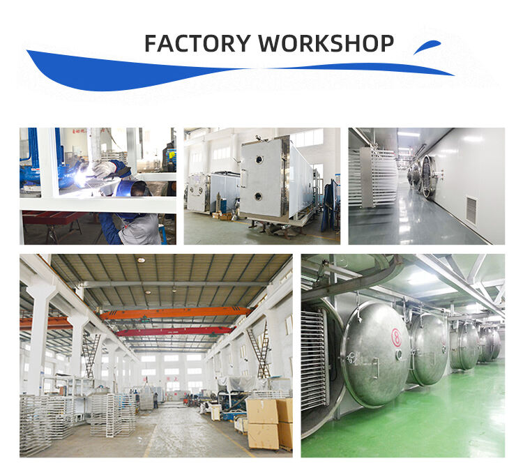 Industrial Food Freeze Dryer Large Commercial freeze Dryer Dry freeze Machine Hot Sale manufacture