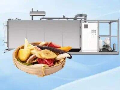 Latest Trends in Continuous Freeze Dryer Technology