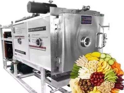 Hvad påvirker optimering af tørrecyklus i en lyofilisator?