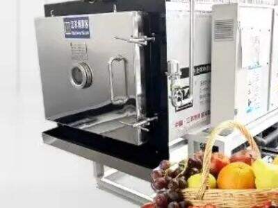 What Vacuum Pump Configuration Fits a Large Freeze Dried Dehydrator?