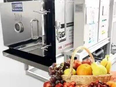 Hvad påvirker energiforbruget i en stor-skala frysetørre med vakuum?