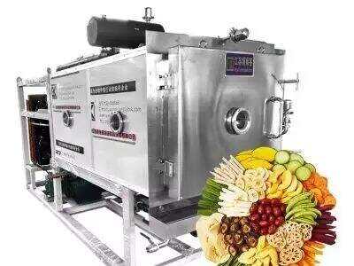 The Working Principle Behind a Modern Lab Lyophilizer