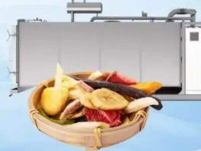 The Role of Temperature Uniformity in a Food Freeze Dryer