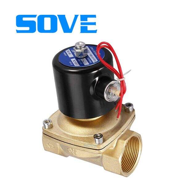 Safety Popular Features Of Solenoid Valve 220V AC