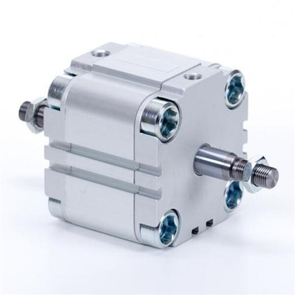 A closer look at the inner workings of double ended pneumatic cylinders