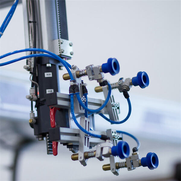 Miniature suction cups - the secret to secure adhesion