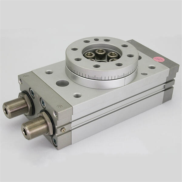 Opening up new opportunities with the Pneumatic rotating gripper