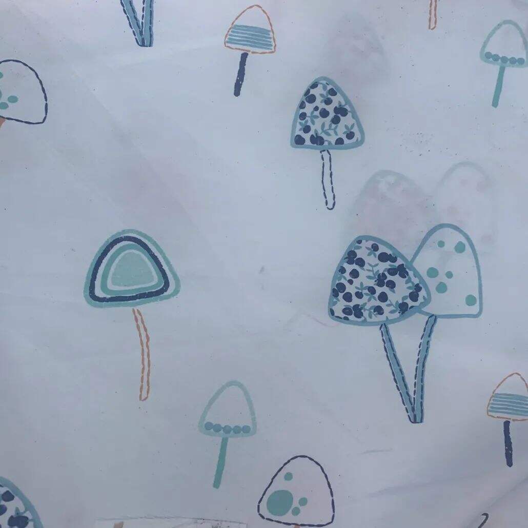 2021 (Summer) Foulola News：High Grade Print --Kartoon Syle factory