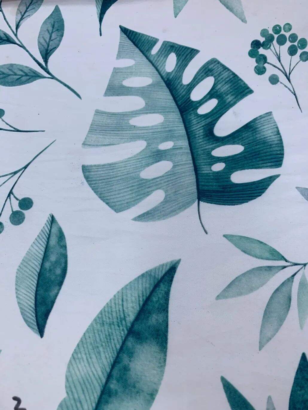 2021 (Summer) Foulola News:High Grade Print Country Style 1/4 details