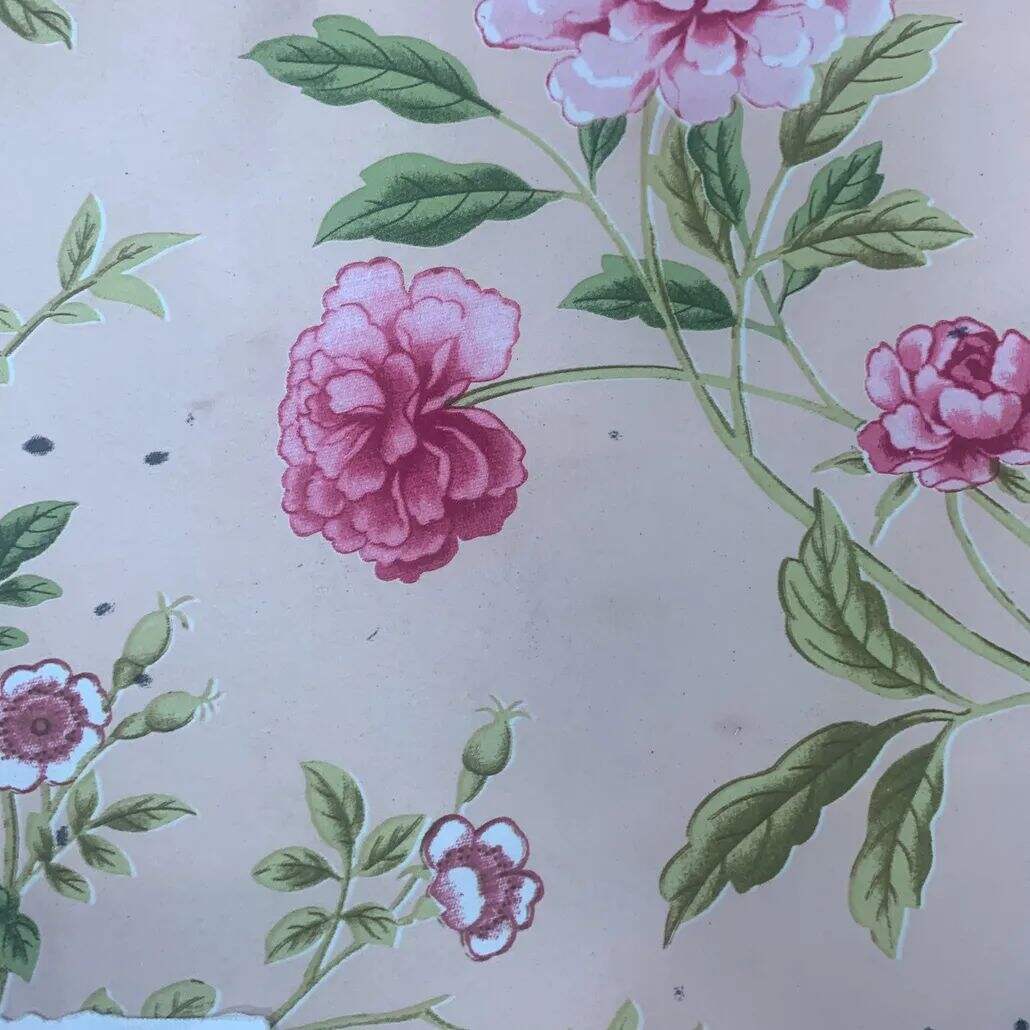 2021 (Summer) Foulola News:High Grade Print Country Style 2/4 supplier