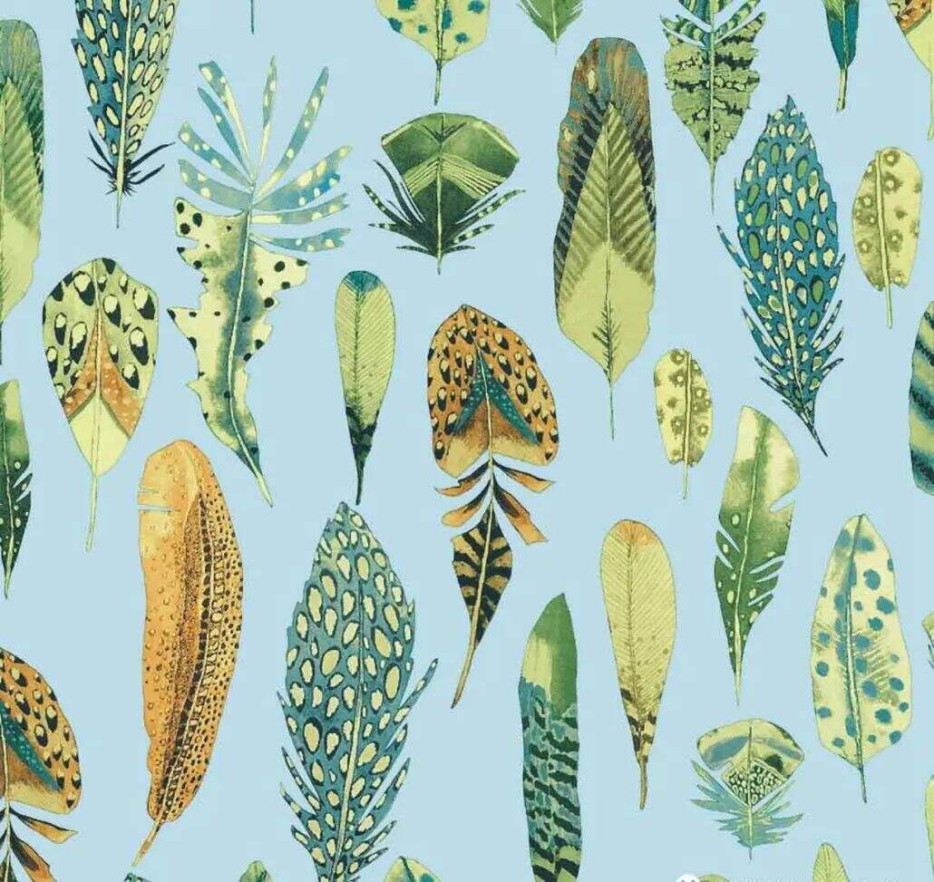 2021 (Summer) Foulola News:High Grade Print Country Style 4/4: manufacture