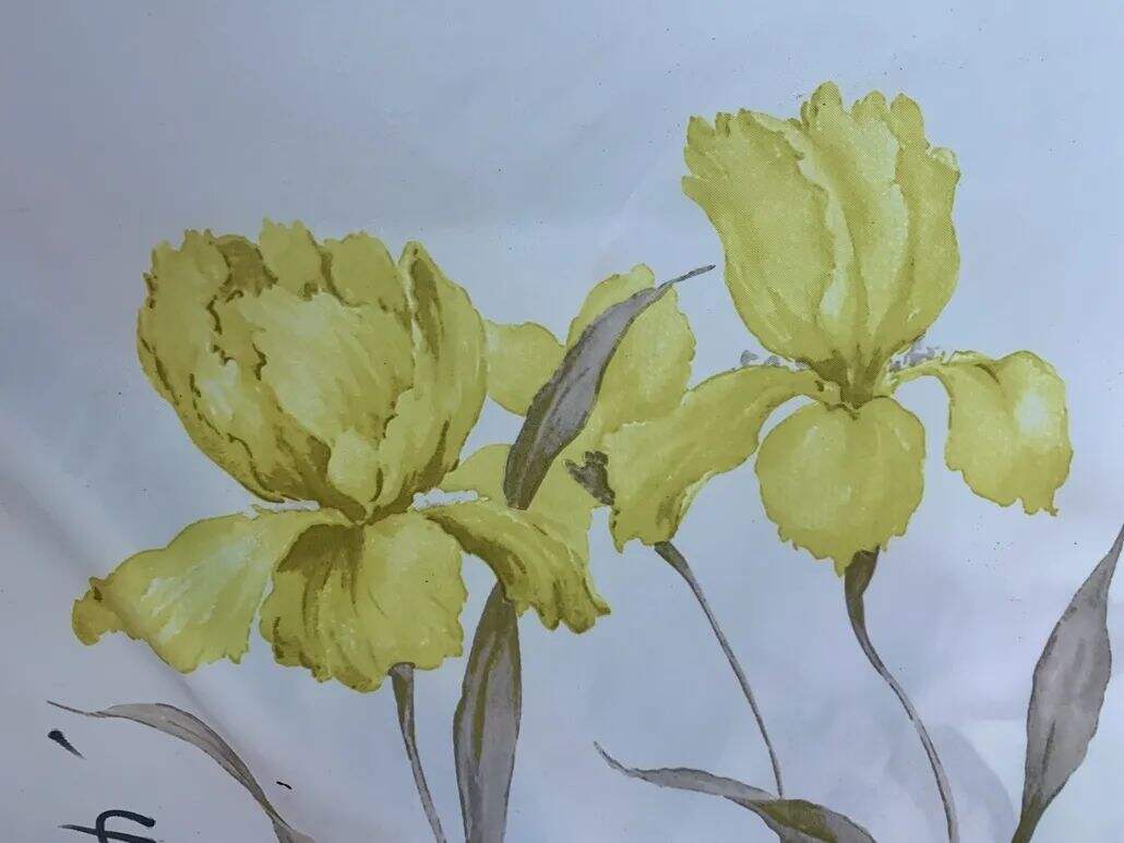 2021 (Summer) Foulola News:High Grade Print-- Country Style details