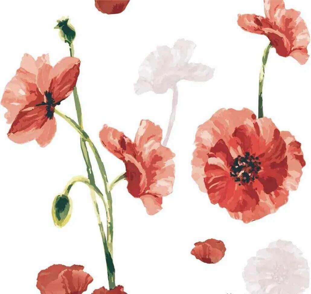 2021 (Summer) Foulola News:High Grade Print Country Style 3/4 details