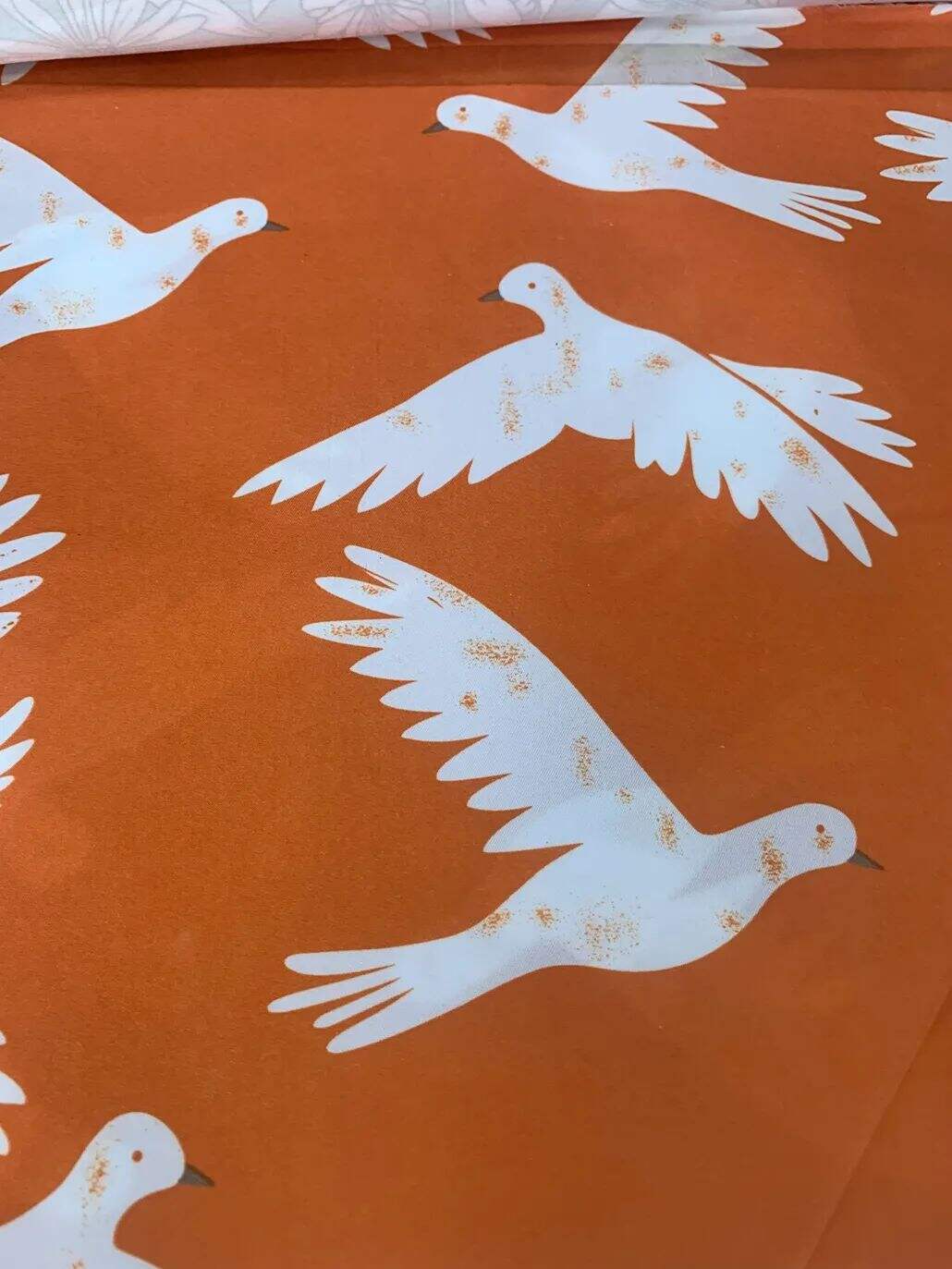 2021 (Summer) Foulola News：High Grade Print --Kartoon Syle details