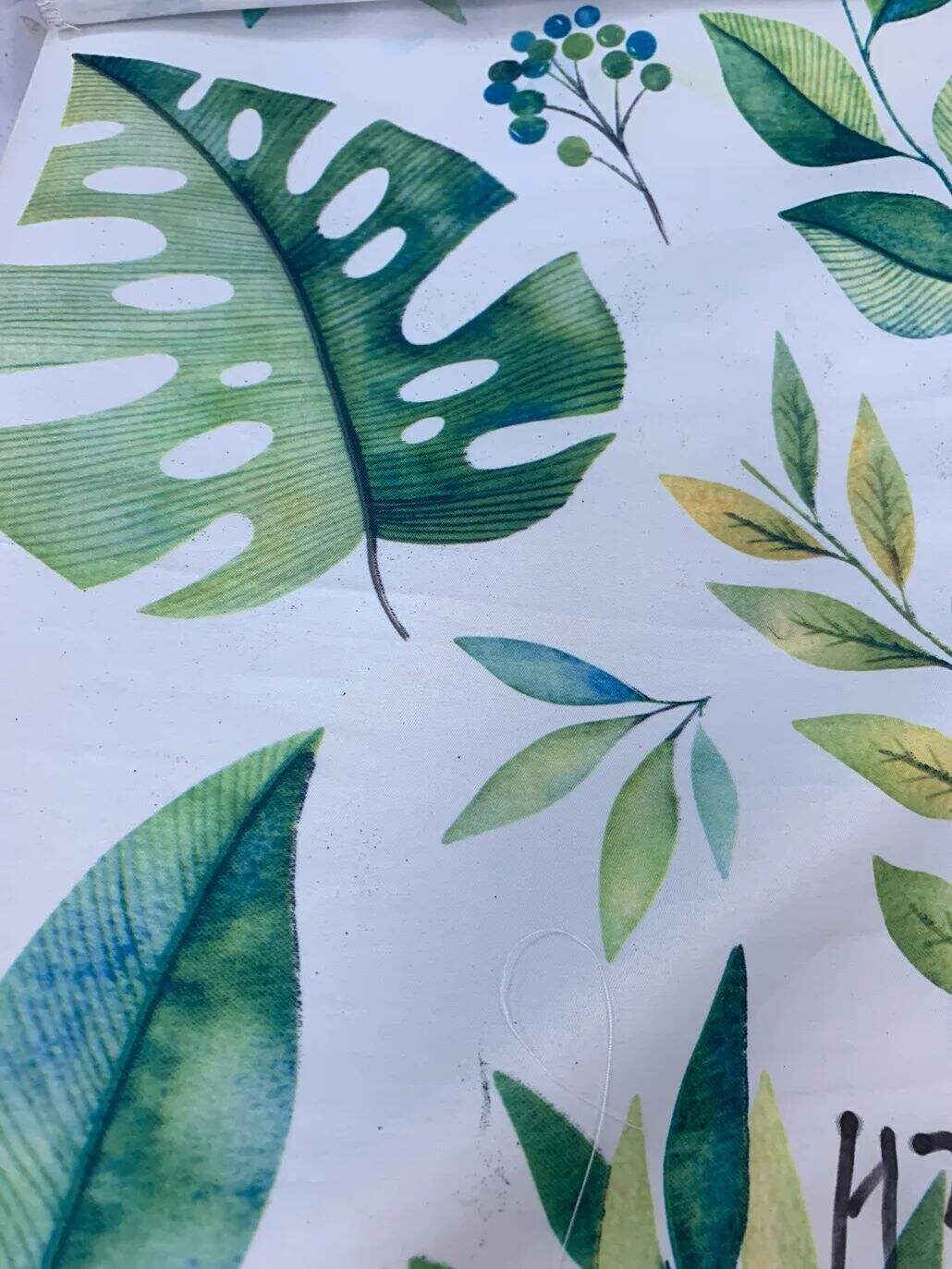 2021 (Summer) Foulola News:High Grade Print Country Style 1/4 details
