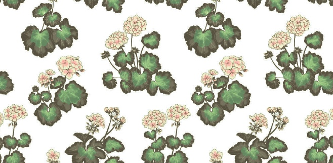 2022 (Fab.) Foulola News: Country Style High Grade Print details