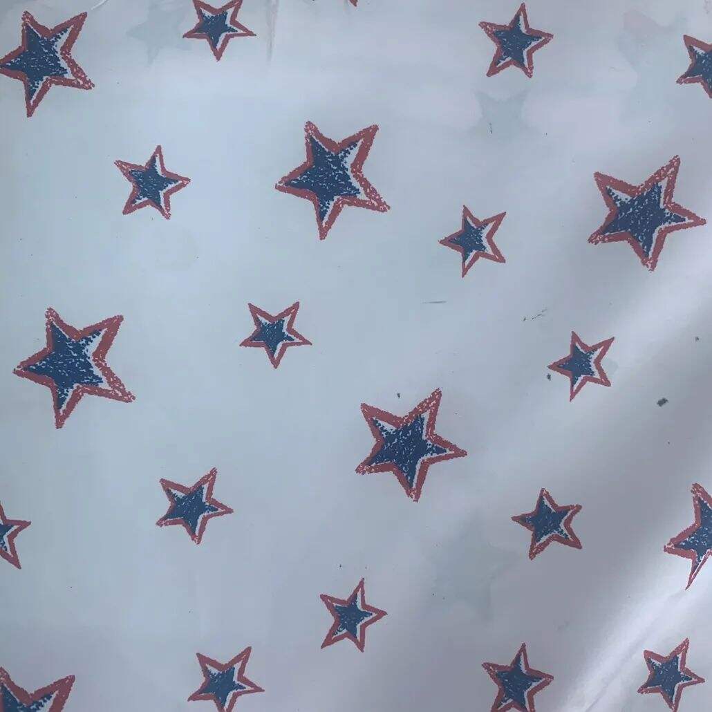 2021 (Summer) Foulola News: High Grade Print-- Moden Style 1/4 details