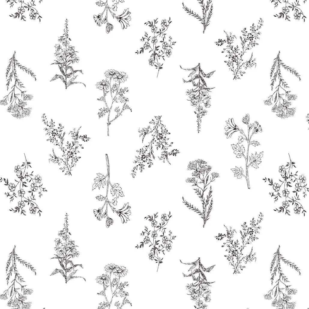 2022 (Dec.) Foulola News: Country Style High Grade Print details
