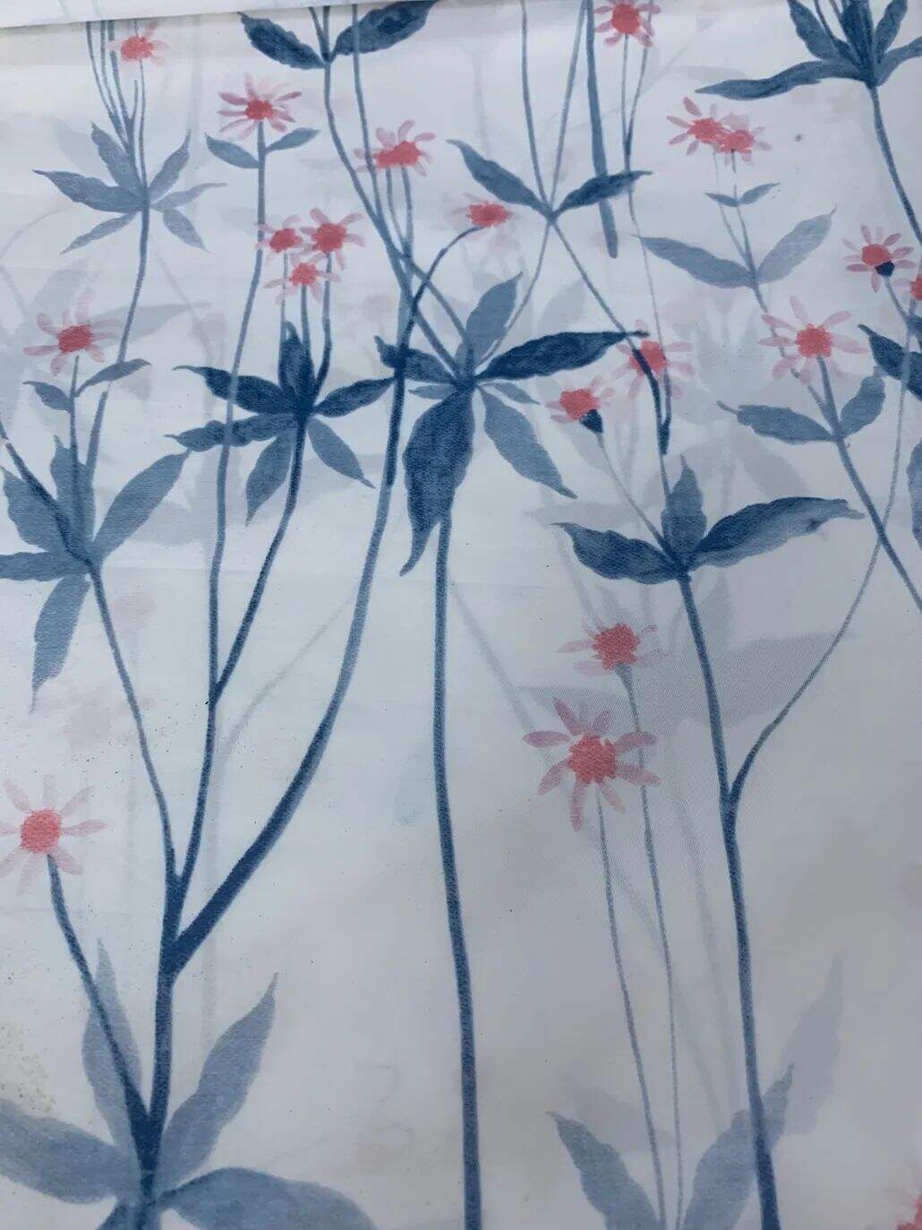 2021 (Summer) Foulola News:High Grade Print-- Country Style details
